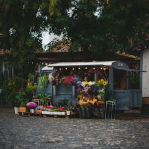 Herbal Salve for Skin Relief
